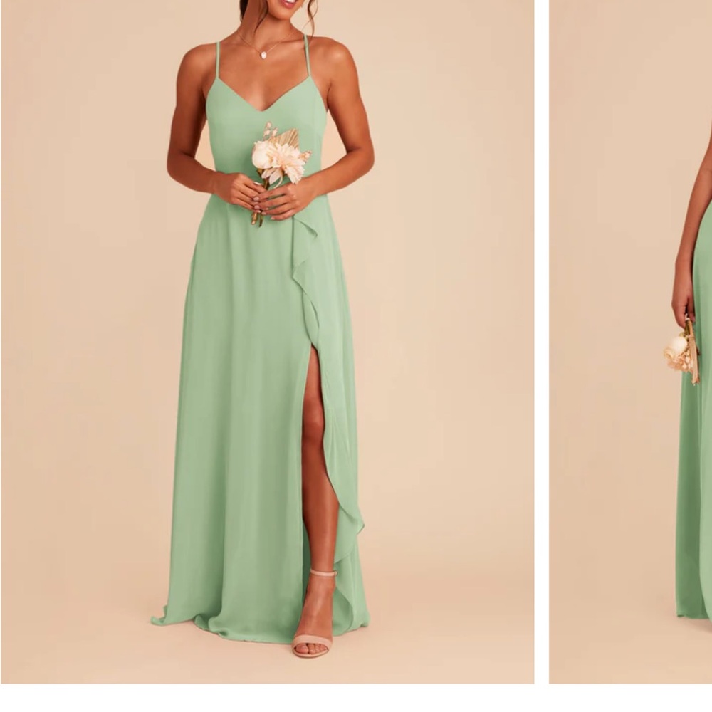 Birdy Grey Theresa Chiffon Dress - Pistachio